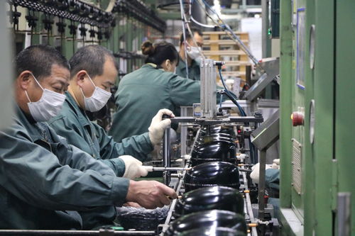 海外订单激增，长虹电视与冰空洗产品同比大幅增长，网络技术服务助力业务拓展