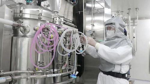 深度揭秘 网络技术服务如何赋能60天建成全球最大新冠灭活疫苗生产车间